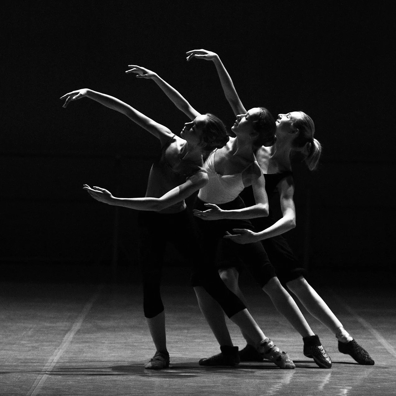Fine & Performing Arts